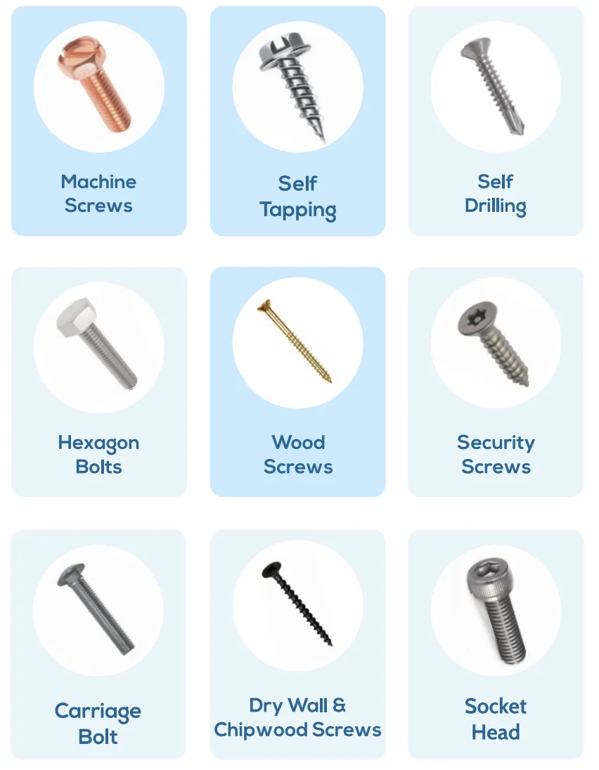 WQ India Products